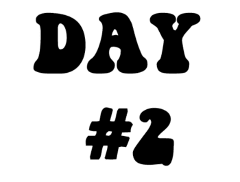 Plan for Day 2!