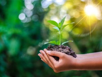Recognizing that environments can change and that this can sometimes pose dangers to living things.