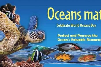 Why do our Seas and Oceans Matter So Much?