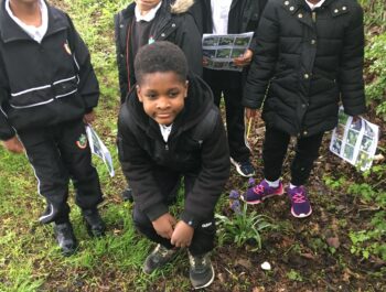 Plant detectives.