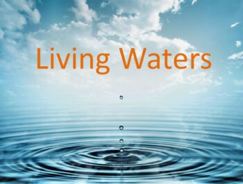 Why is drinking water so important?