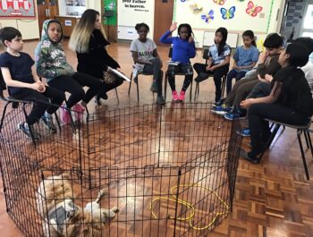 Book Buddies Book Club