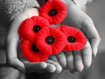 What is Remembrance Day?