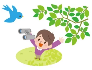 Birdwatching