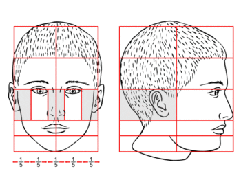 Exploring face parts