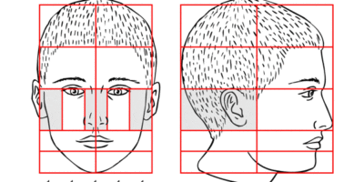 Exploring face parts