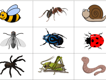 Fantastic mini-beasts and where to find them 