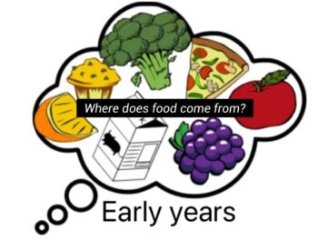 Where does food come from?