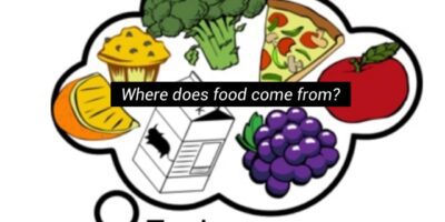 Where does food come from?