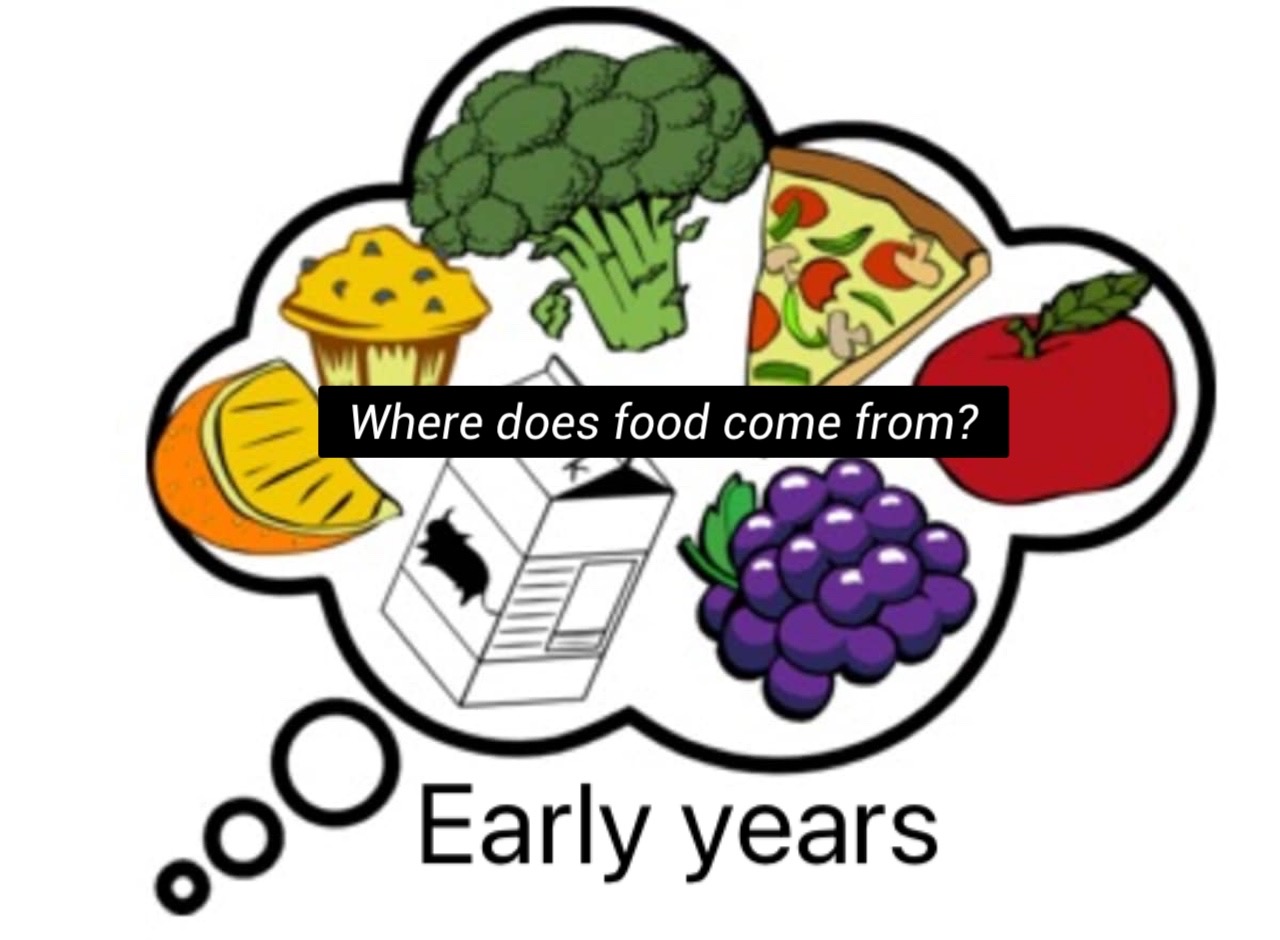 Where does food come from?